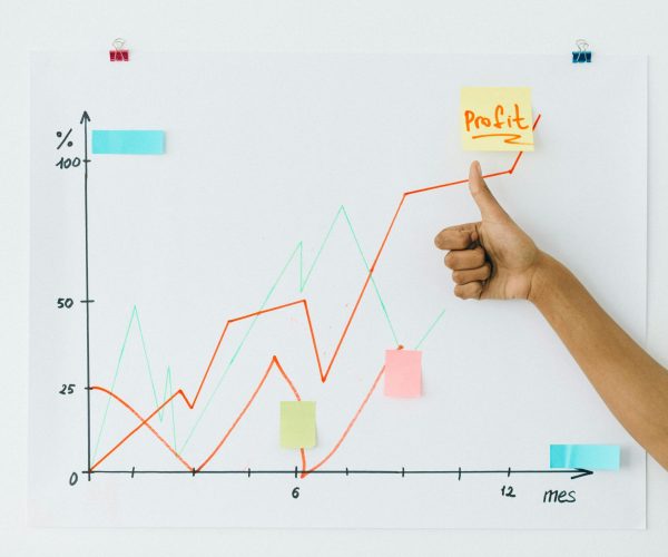 pexels-n-voitkevich-7172856